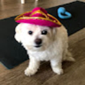 Meet your Posher, Erica